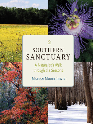 cover image of Southern Sanctuary